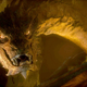 Illustration for article titled The Dragonriders of Pern. The Best Series We May Never See Filmed.